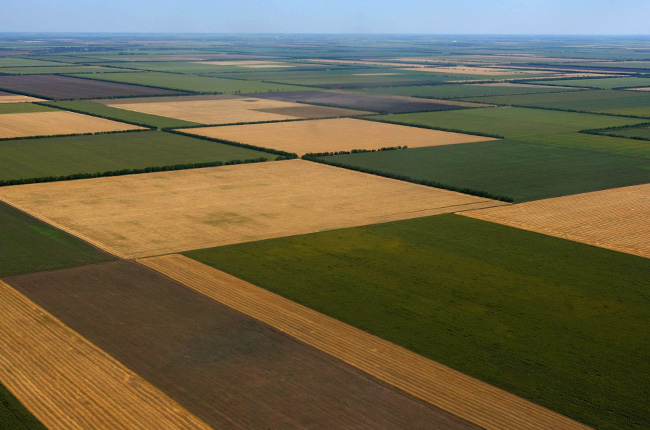 В Україні впроваджується регулярний моніторинг ключових параметрів земельних відносин